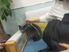 -美迦爱-牙专科·兔科·骨科诊疗中心(北苑店)