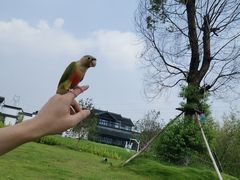 -禾悦庄餐厅