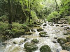 -牛背梁国家森林公园