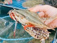 -宾朋海鲜特色美食餐厅·纯手工鲅鱼水饺(兴海路店)