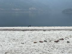 -雷波马湖风景区