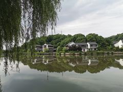 -鲁镇