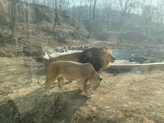 -石家庄市动物园