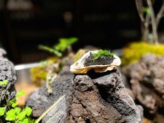 -曲廊院(东四十一条店)