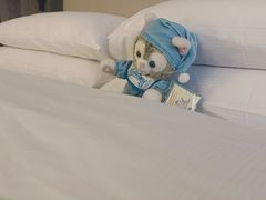 -新加坡乌节希尔顿酒店 (SG Clean)