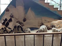 -济州岛泰迪熊博物馆