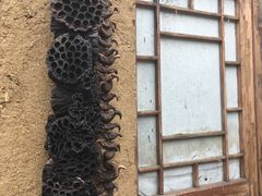 -白洋淀景区