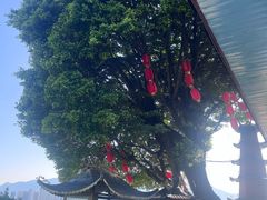-仓山金山寺