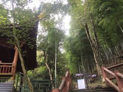 -藏龙百瀑风景区