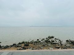 -深圳湾公园(南山区)