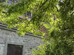 -芥子园