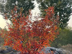 -青州市云门山风景区