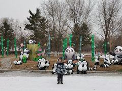 -沈阳奥体冰雪嘉年华