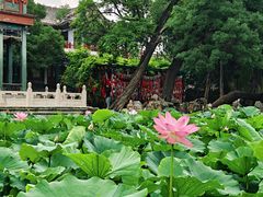 -莲池书院博物馆