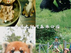 -普洱太阳河森林公园