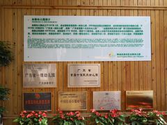 荣誉墙-珠海金路幼儿园