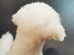 -熊小胖宠物生活馆(天华园店)