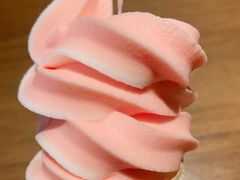 -醉得意·山茶油炒土鸡(莆田仙游方圆荟店)