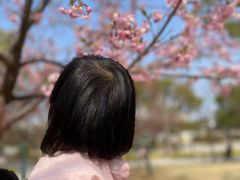 -新江湾城公园