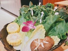 -淼福猪肚鸡·椰子鸡火锅(大沙地店)