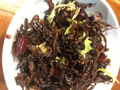 -雀舞云南菜(天津天河城购物中心店)