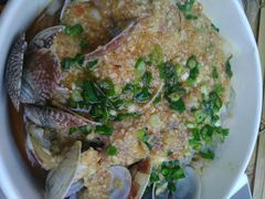 -降龙爪爪(建设路1店)