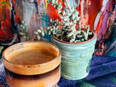 -三忘湖 SWANSEEN(柳荫公园店)