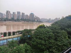 -李子坝梁山鸡(李子坝大鸡哥店)