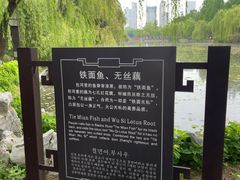-包公祠
