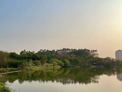 -广东花都湖国家湿地公园