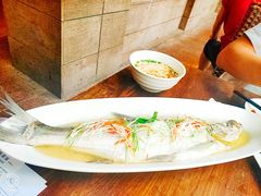 -金枝玉叶上海人家食府(三里河店)