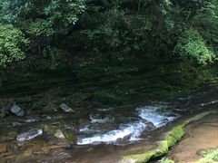 -黎坪国家森林公园