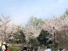 -白塔公园-儿童游乐园