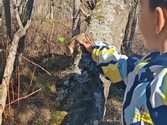 -五营红松林海景区