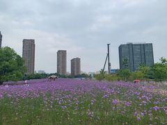 -杭州城北体育公园