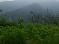 -广州市石门国家森林公园