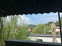 -清雅臻品·竹林院落·新派青岛菜(崂山店)