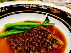 -西郊5号·Maggie 5