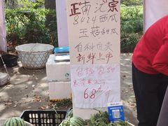 -南汇桃花村