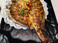 -九府羊·鲜羊火锅·烤串(新华路店)