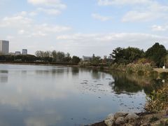 -澹台湖公园