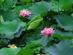 -济南野生动物世界