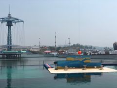 -秦皇岛乐岛海洋王国