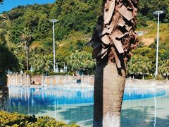 -重庆海昌加勒比海水世界