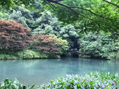 -白云源风景区