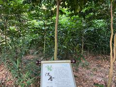 -世间香境·七溪地