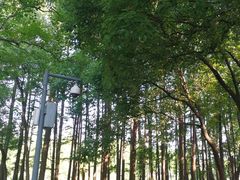 -东湖落雁景区