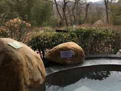 -威海天沐度假区温泉