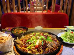 -老板恋上鱼(恒隆广场店)