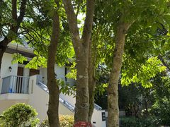 -天悦阁海景酒廊